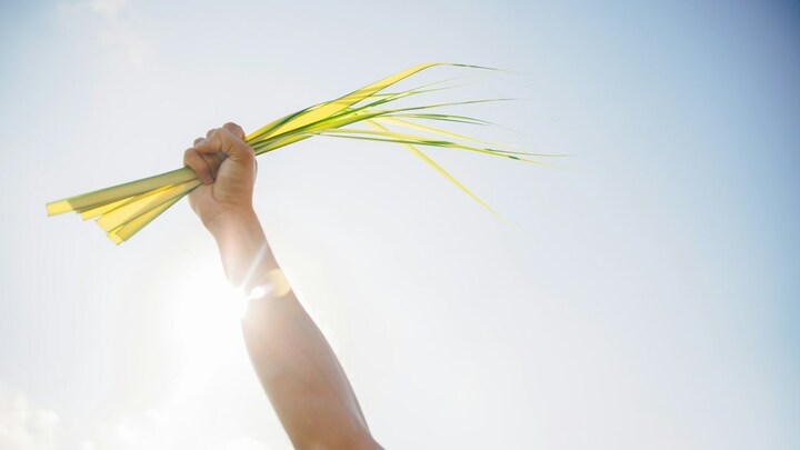 Logo for Strong and Courageous