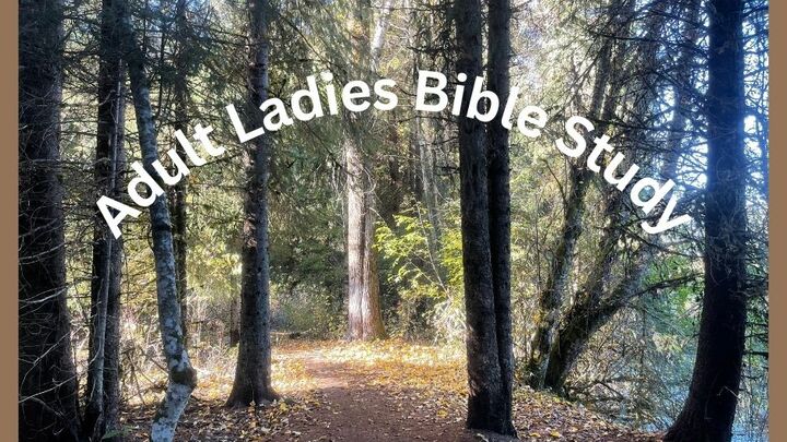 Logo for Adult 7 - Ladies Bible Class