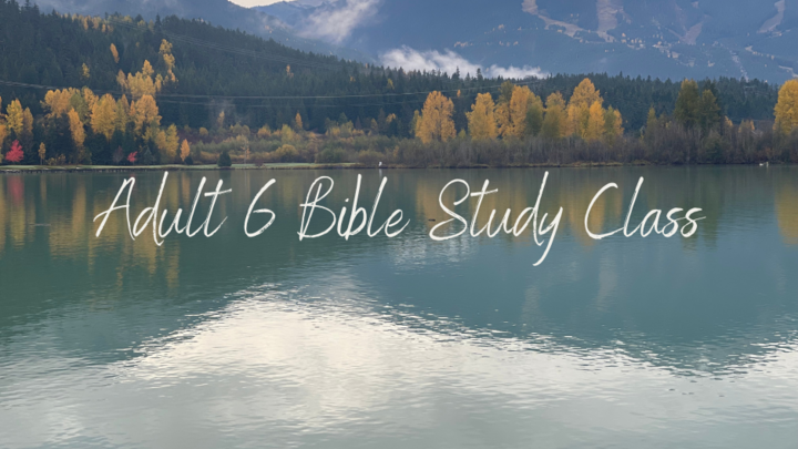 Logo for Adult 6 - Sanctuary Class