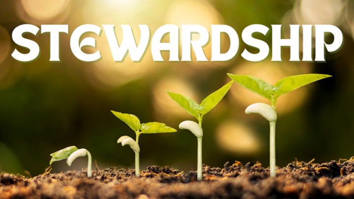 Logo for Stewardship Committee