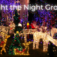 Logo for Light the Night