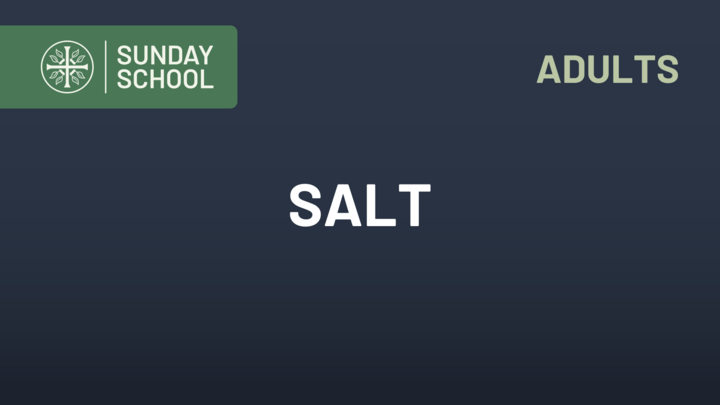Logo for Adult S.S. – SALT