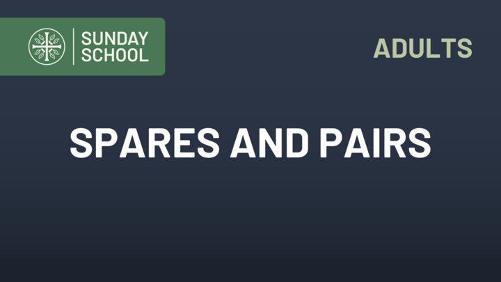 Logo for Adult S.S. – Spares and Pairs