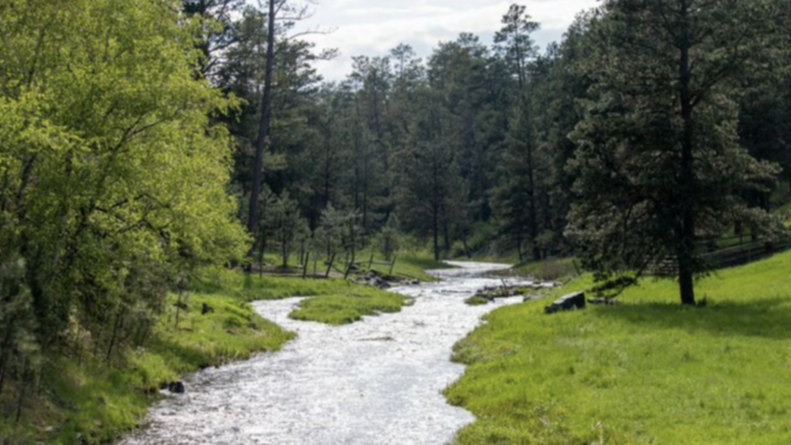 Logo for WBBS | Topical (Israel)