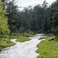 Logo for WBBS | Ecclesiastes (Israel)