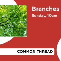 Logo for Branches Sunday School