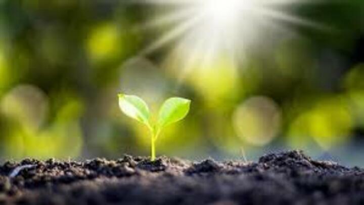 Logo for #1 - Kids Faith Grow