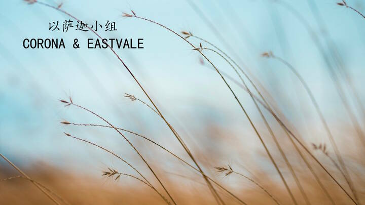 Logo for 以萨迦小組 - Lewis & XingShuo