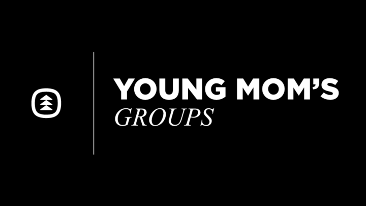 Logo for Traci Young & Audrey Cullum's Young Moms Group