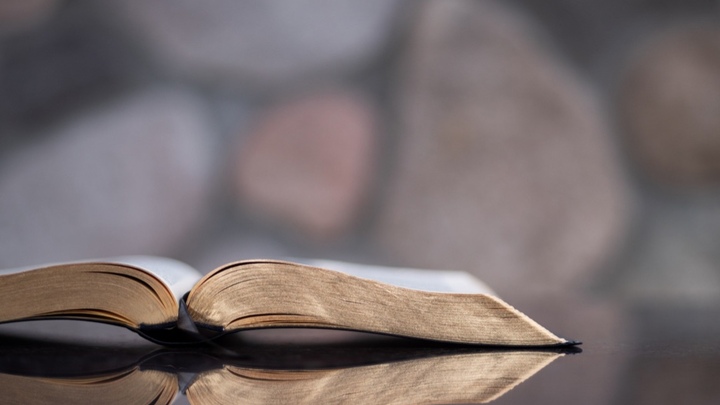 Logo for Read Through The Bible In A Year