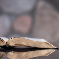 Logo for Read Through The Bible In A Year