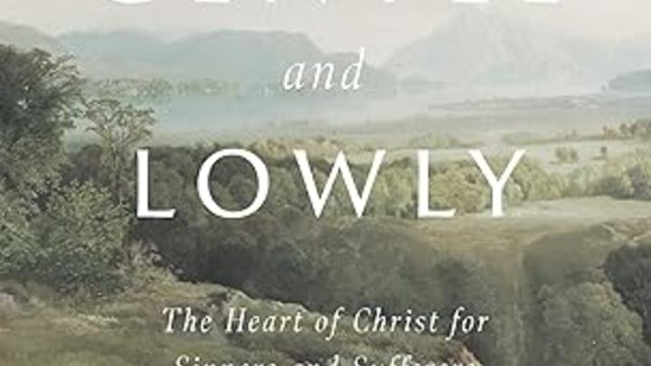 Logo for Women's Study: Ortland