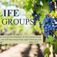 Logo for Coed Group - Mark & Beth Bendickson