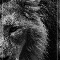 Logo for Men's Saturday Study