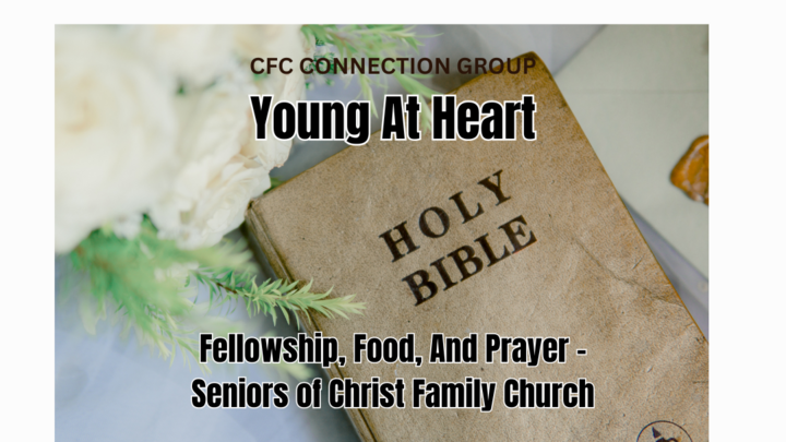 Logo for Young At Heart