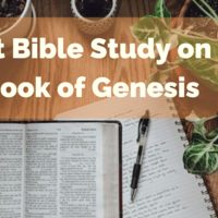 Logo for Adult Bible Study on the Book of Genesis