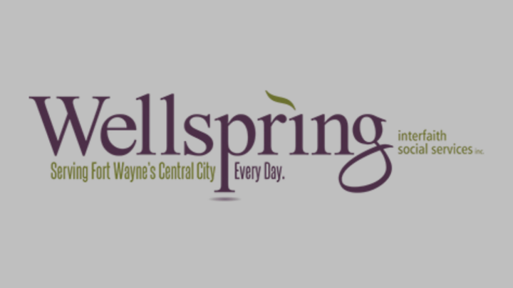 Logo for Wellspring Group of 5