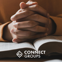 Logo for Ladies Virtual Prayer