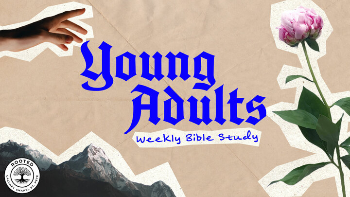 Logo for Young Adults - Rooted