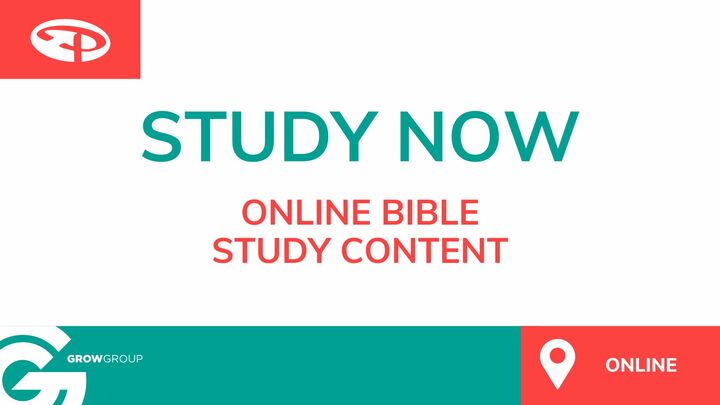 Logo for STUDY NOW - ONLINE RESOURCES