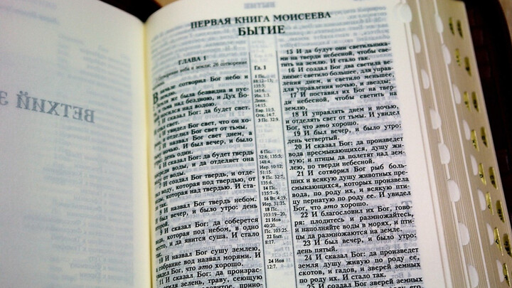 Logo for Russian Language Ministry