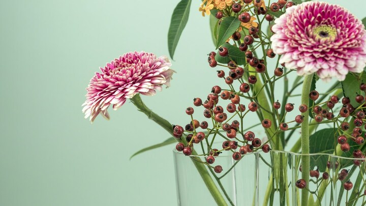 Logo for Young Couples Central House Church