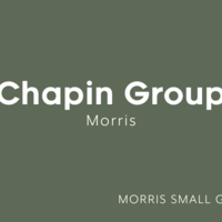Logo for Chapin Group