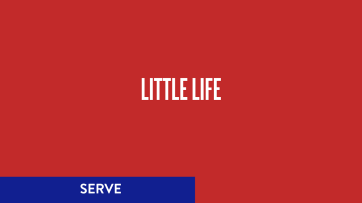 Logo for LITTLE LIFE - CLARKSVILLE SERVE TEAM