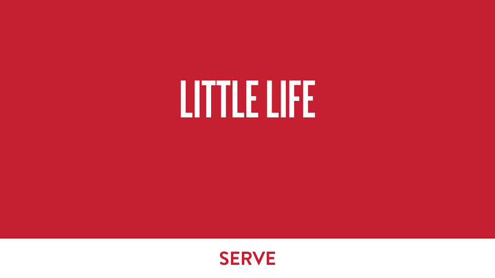 Logo for LITTLE LIFE - CLARKSVILLE SERVE TEAM