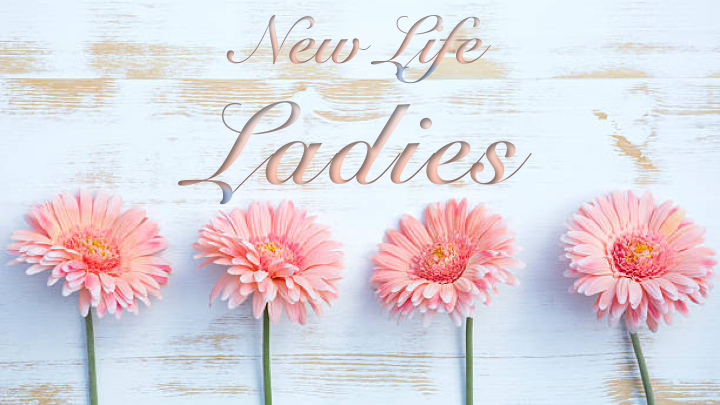 Logo for New Life Ladies
