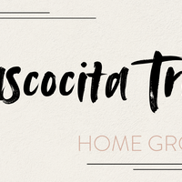 Logo for Atascocita Trails Home Group