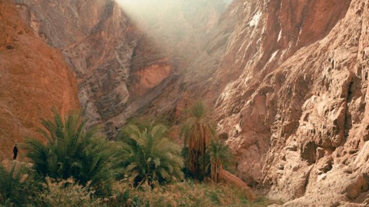 Logo for Clara's Group for Divorced Women