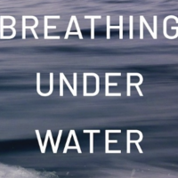 Logo for Breathing Under Water - Spirituality and the Twelve Steps