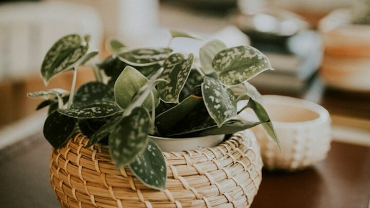 Logo for Hospitality