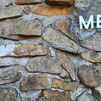 Logo for Men's Events