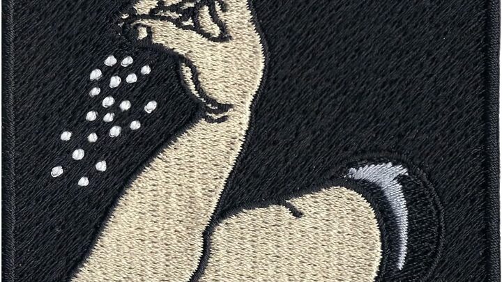 Logo for Military Grade SALT (Sharing Ascetics, Life, & Truth)