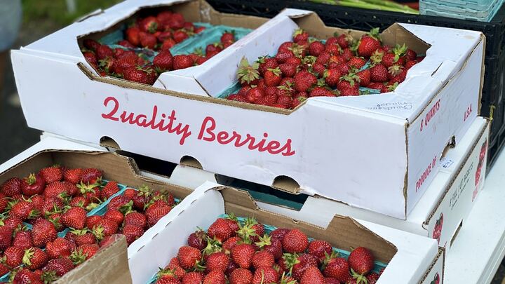 Logo for Service Outreach Events