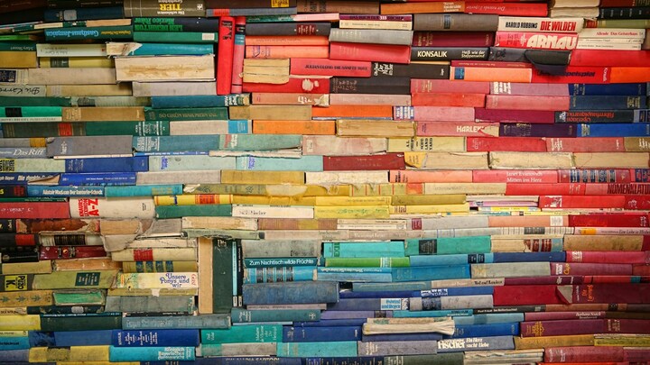 Logo for Bonavista Book Club