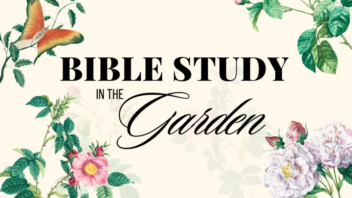 Logo for Thursday Night Dinner