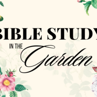 Logo for Thursday Night Dinner