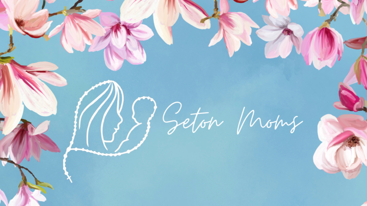 Seton Moms: Summer playdate - Bicentennial Park flyer