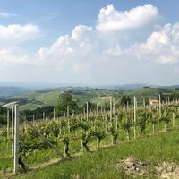 Logo for Family & Friends (Crosspointe Alliance Church)