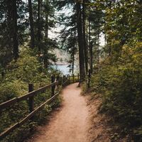 Logo for Boy's Trail Life