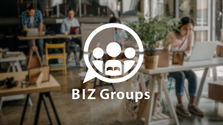 Logo for BIZ Groups
