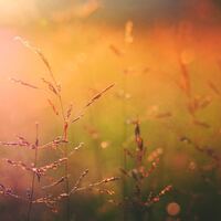 Logo for Grupo de Mujeres Mas que Vencedoras