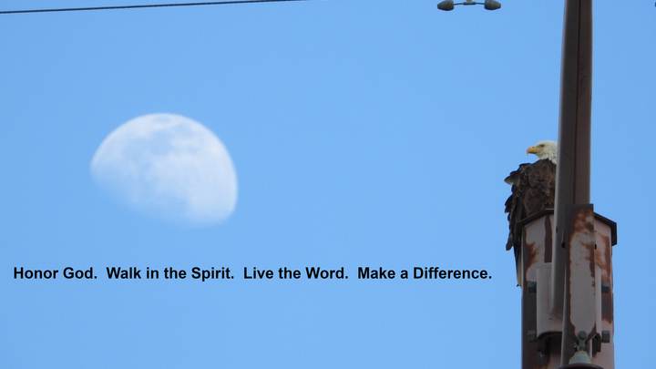 Logo for Erie - Men's Group - Thursday Morning - Trailhead