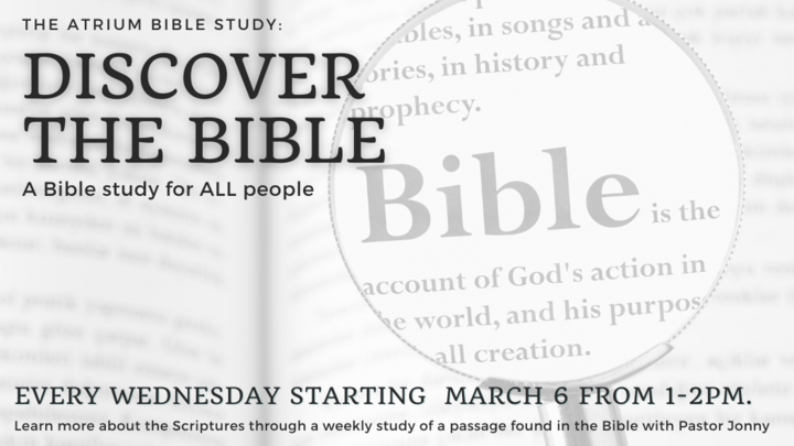 Logo for Discover: the Bible