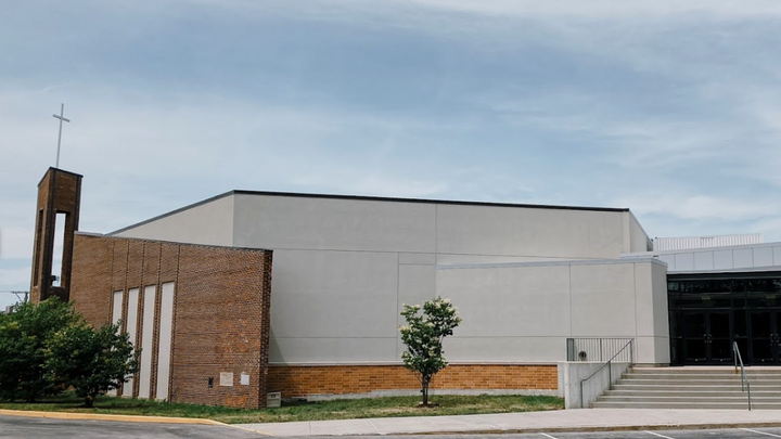 Logo for Patti Downes