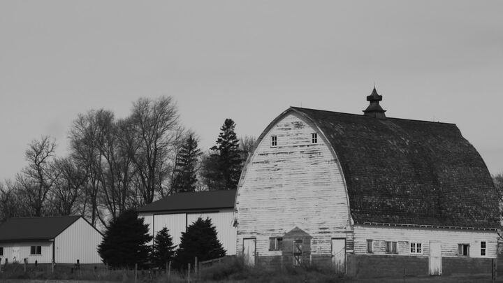 Logo for Minnesota - Angora