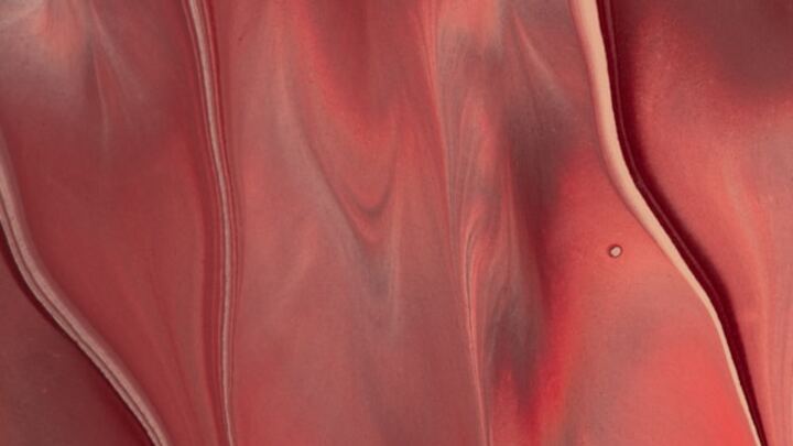 Logo for Youth Boys Class